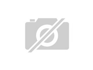 Suche Neuguinea Edelpapagei Henne